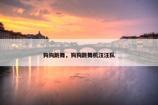 狗狗跳舞，狗狗跳舞机汪汪队