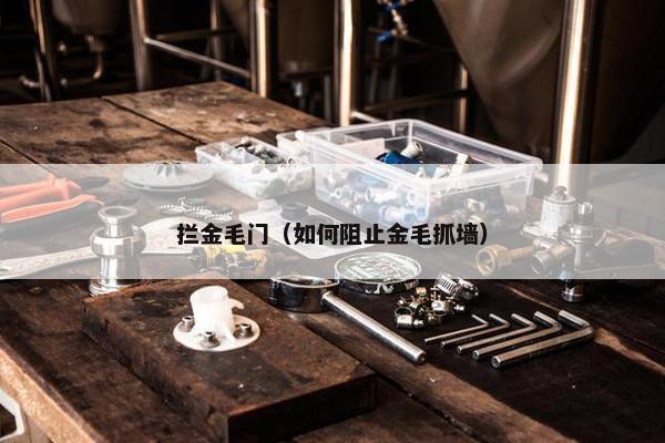 拦金毛门（如何阻止金毛抓墙）