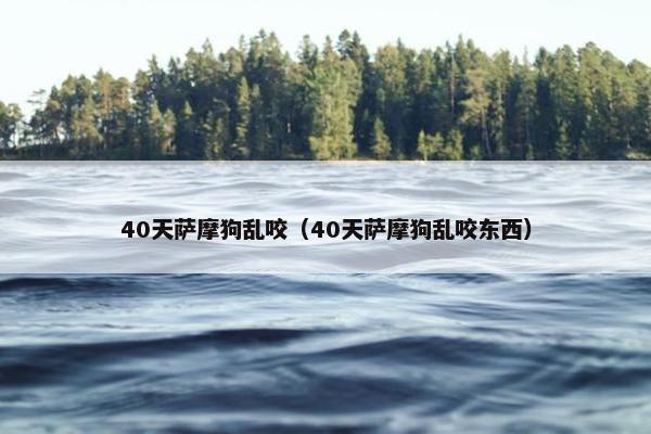 40天萨摩狗乱咬（40天萨摩狗乱咬东西）