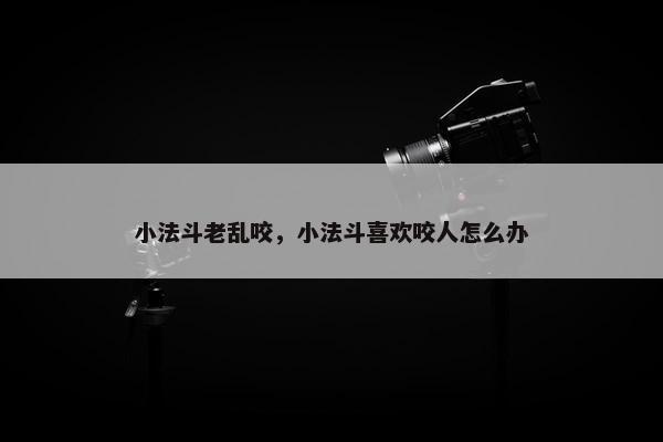 小法斗老乱咬，小法斗喜欢咬人怎么办