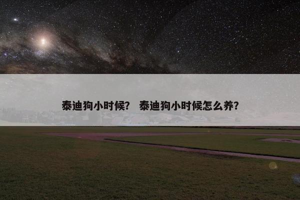 泰迪狗小时候？ 泰迪狗小时候怎么养？