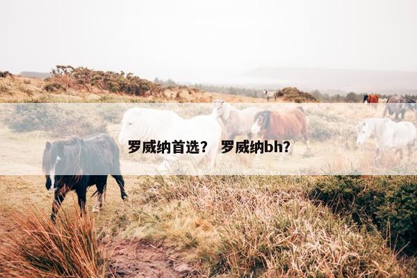 罗威纳首选？ 罗威纳bh？
