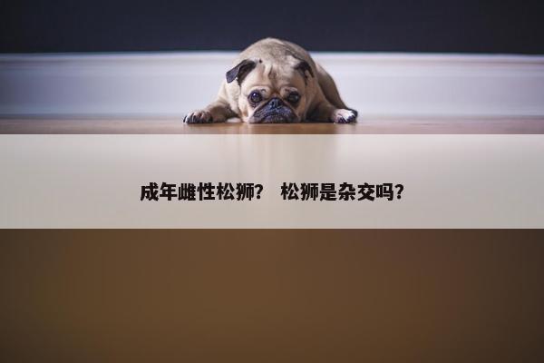 成年雌性松狮？ 松狮是杂交吗？