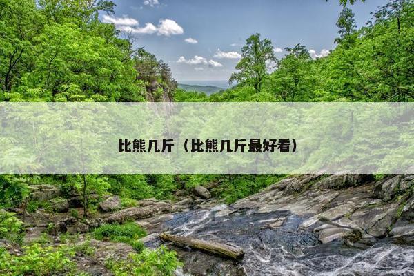 比熊几斤（比熊几斤最好看）