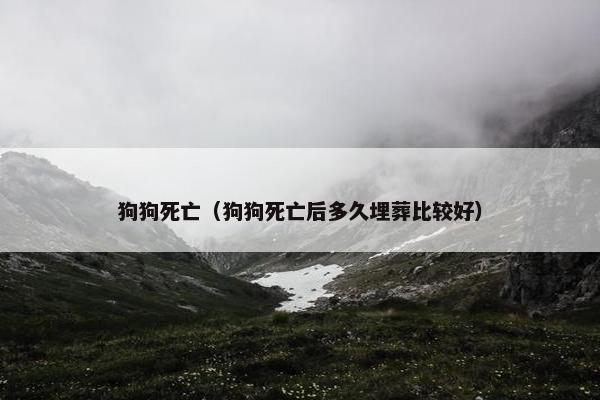 狗狗死亡（狗狗死亡后多久埋葬比较好）