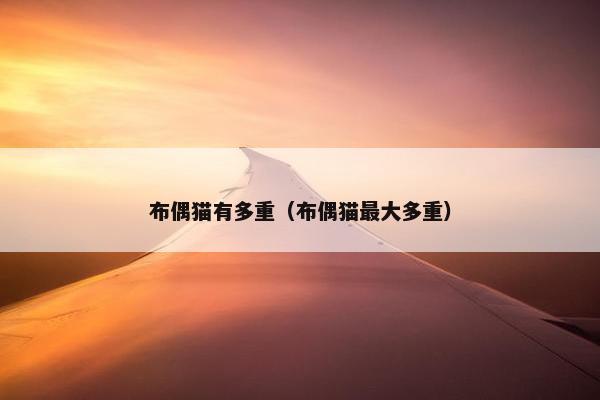 布偶猫有多重（布偶猫最大多重）