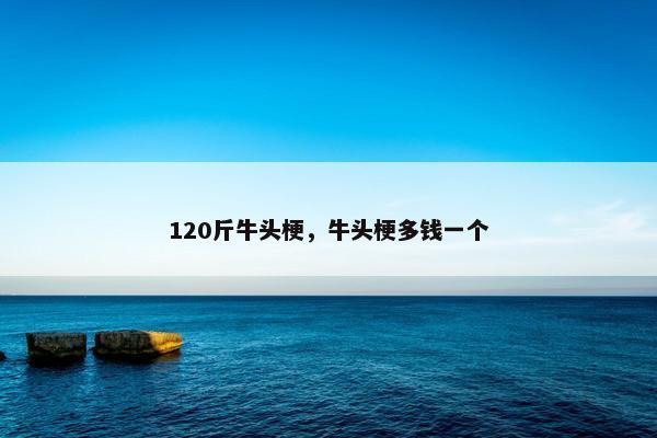 120斤牛头梗，牛头梗多钱一个