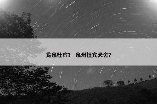 龙泉杜宾？ 泉州杜宾犬舍？