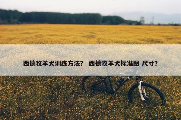 西德牧羊犬训练方法？ 西德牧羊犬标准图 尺寸？