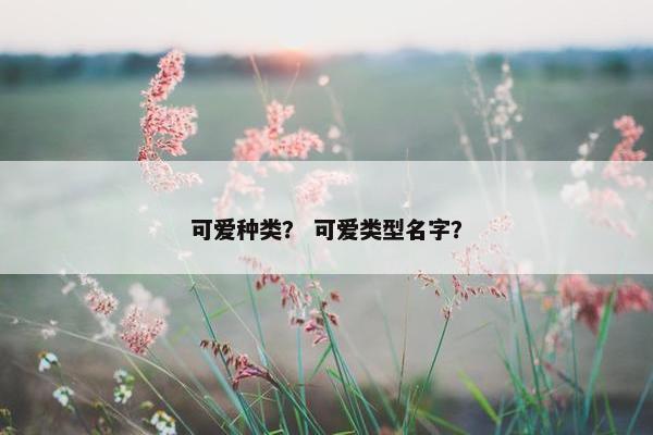 可爱种类？ 可爱类型名字？