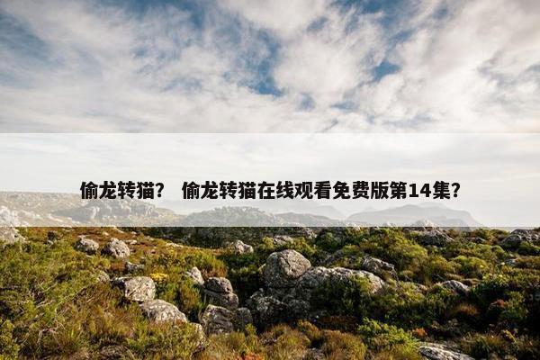偷龙转猫？ 偷龙转猫在线观看免费版第14集？