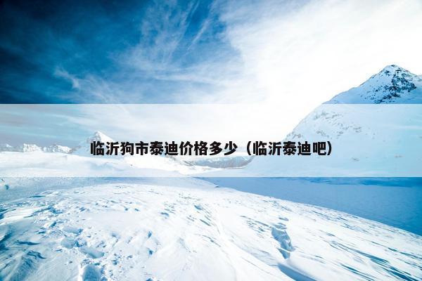 临沂狗市泰迪价格多少（临沂泰迪吧）