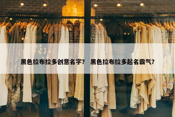 黑色拉布拉多创意名字？ 黑色拉布拉多起名霸气？