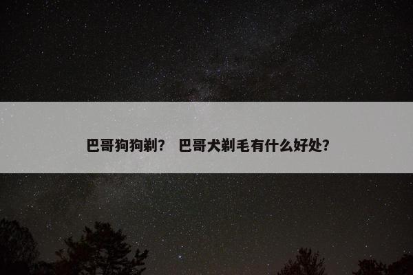 巴哥狗狗剃？ 巴哥犬剃毛有什么好处？