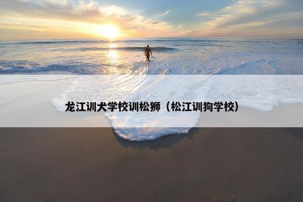 龙江训犬学校训松狮（松江训狗学校）