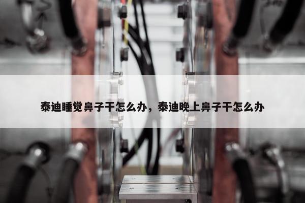 泰迪睡觉鼻子干怎么办，泰迪晚上鼻子干怎么办