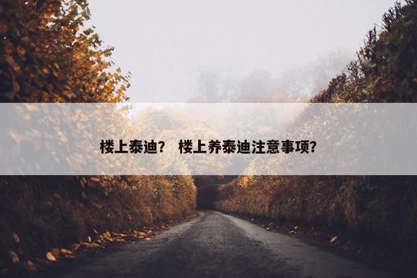 楼上泰迪？ 楼上养泰迪注意事项？