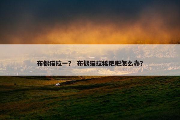 布偶猫拉一？ 布偶猫拉稀粑粑怎么办？