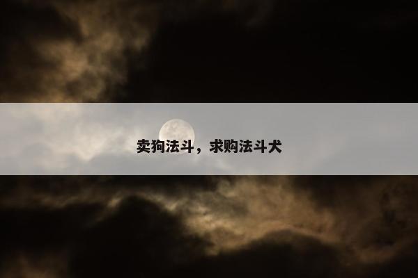 卖狗法斗，求购法斗犬