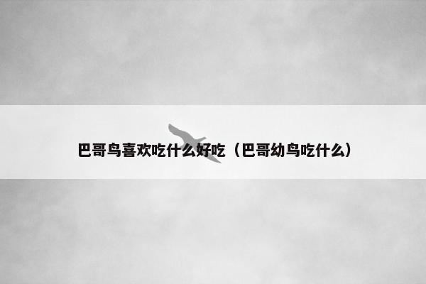 巴哥鸟喜欢吃什么好吃（巴哥幼鸟吃什么）