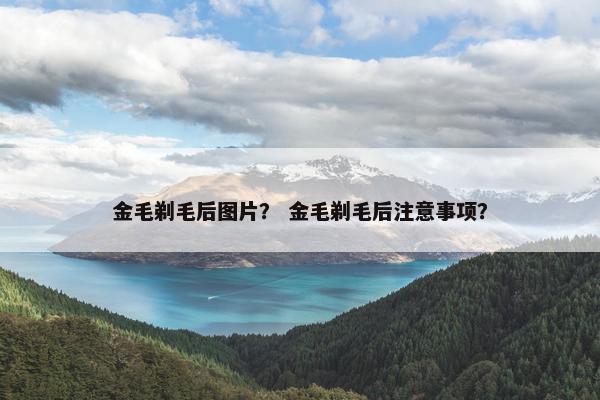 金毛剃毛后图片？ 金毛剃毛后注意事项？