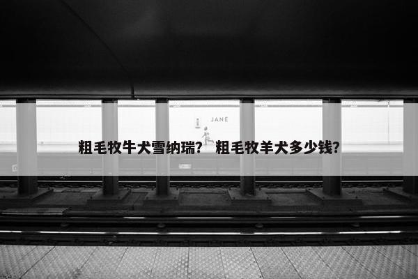 粗毛牧牛犬雪纳瑞？ 粗毛牧羊犬多少钱？