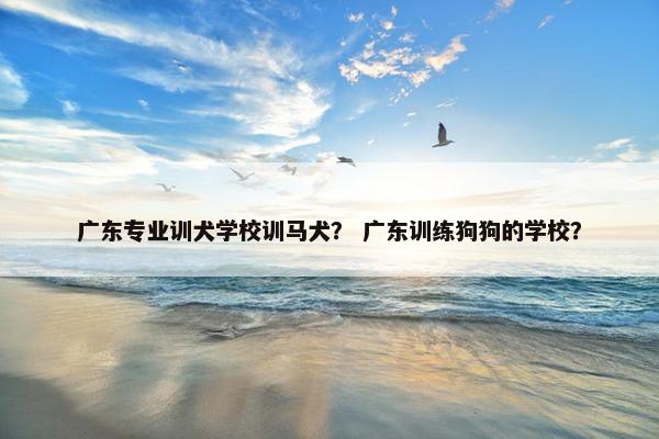 广东专业训犬学校训马犬？ 广东训练狗狗的学校？