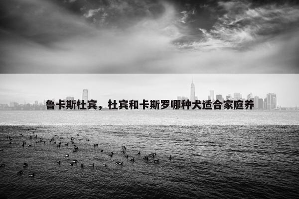 鲁卡斯杜宾，杜宾和卡斯罗哪种犬适合家庭养