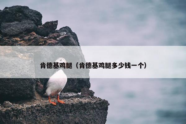 肯德基鸡腿（肯德基鸡腿多少钱一个）