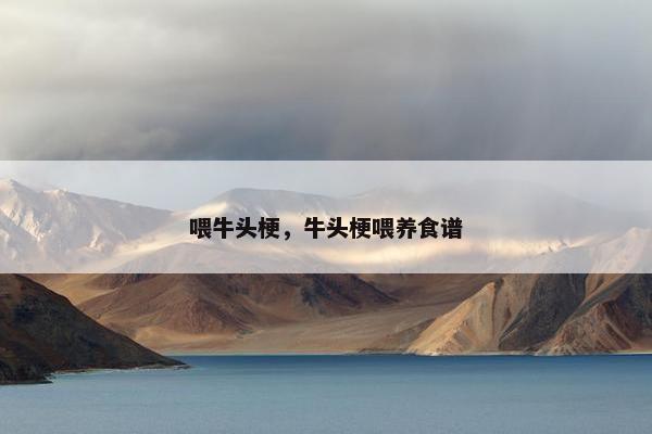 喂牛头梗，牛头梗喂养食谱