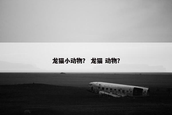 龙猫小动物？ 龙猫 动物？