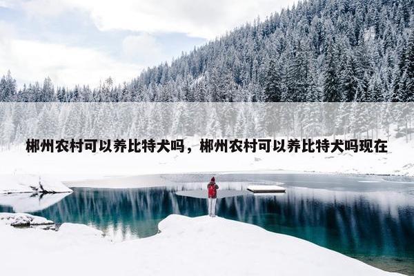 郴州农村可以养比特犬吗，郴州农村可以养比特犬吗现在