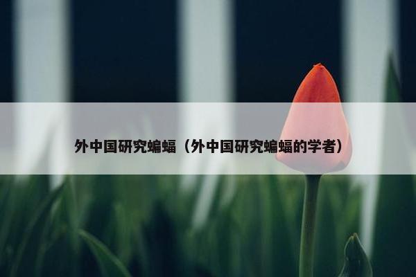 外中国研究蝙蝠（外中国研究蝙蝠的学者）
