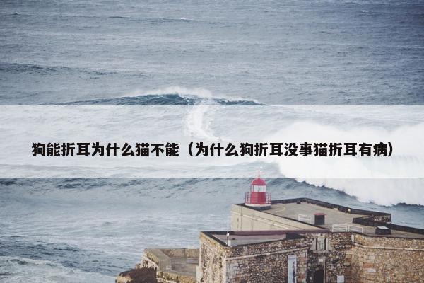 狗能折耳为什么猫不能（为什么狗折耳没事猫折耳有病）