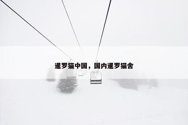 暹罗猫中国，国内暹罗猫舍