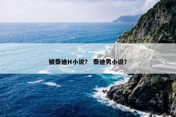 被泰迪H小说？ 泰迪男小说？