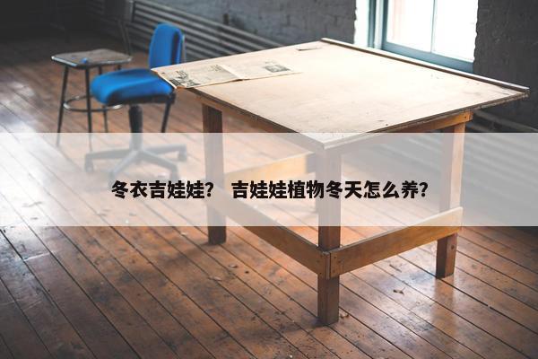 冬衣吉娃娃？ 吉娃娃植物冬天怎么养？