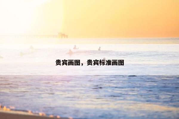 贵宾画图，贵宾标准画图