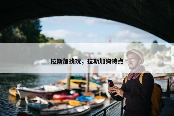 拉斯加找玩，拉斯加狗特点