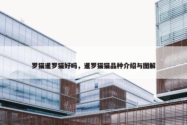 罗猫暹罗猫好吗，暹罗猫猫品种介绍与图解
