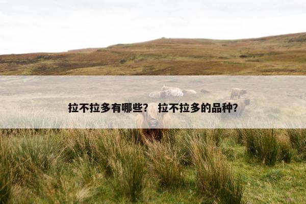 拉不拉多有哪些？ 拉不拉多的品种？