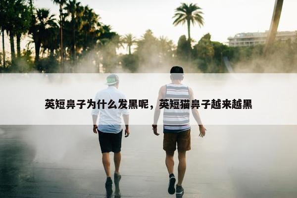 英短鼻子为什么发黑呢，英短猫鼻子越来越黑