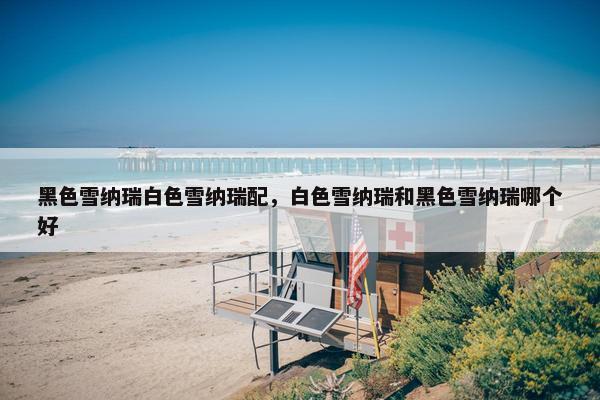 黑色雪纳瑞白色雪纳瑞配，白色雪纳瑞和黑色雪纳瑞哪个好