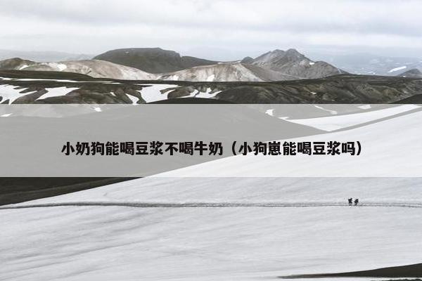 小奶狗能喝豆浆不喝牛奶（小狗崽能喝豆浆吗）