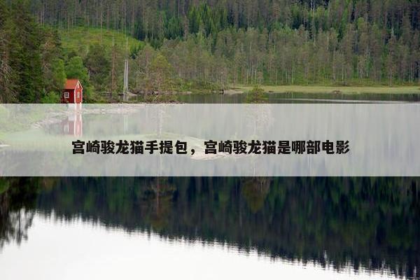 宫崎骏龙猫手提包，宫崎骏龙猫是哪部电影