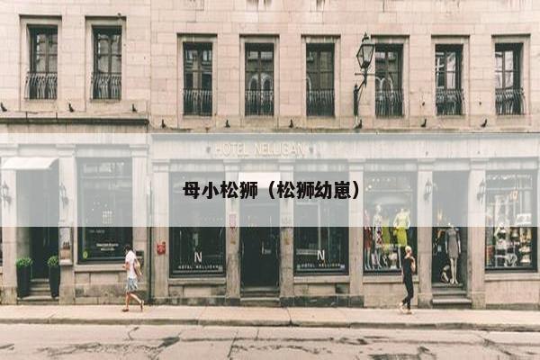 母小松狮(松狮幼崽) 母小松狮(松狮幼崽)