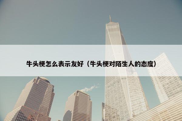 牛头梗怎么表示友好（牛头梗对陌生人的态度）