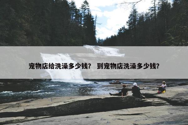 宠物店给洗澡多少钱？ 到宠物店洗澡多少钱？