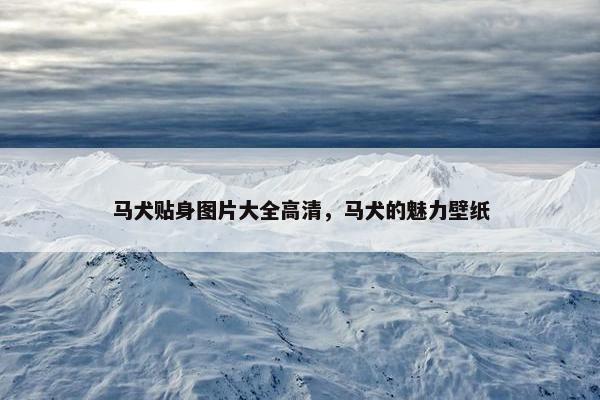 马犬贴身图片大全高清，马犬的魅力壁纸