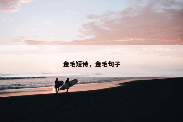 金毛短诗，金毛句子